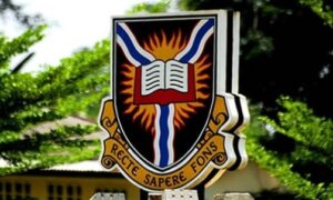 University Of Ibadan (UI) admission list is officially out for the 2023/2024 academic session and the steps on how to check UI admission list online.