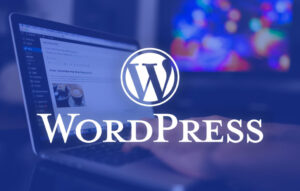 The next step on how to start a blog in Nigeria for free is to install WordPress and choose a theme of your choice.